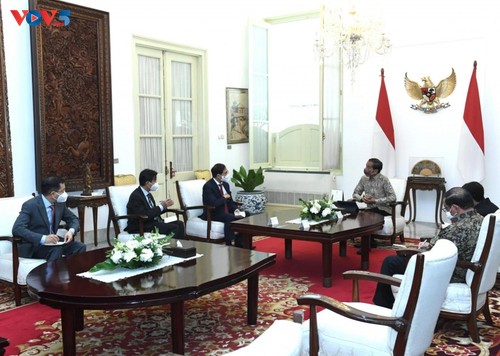Vietnam determina impulsar relaciones con Indonesia, afirma canciller - ảnh 1