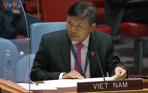 越南呼吁确保阿富汗平民的安全 - ảnh 1