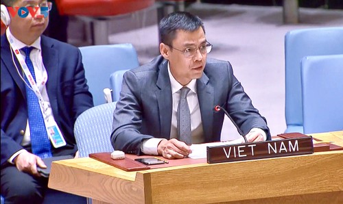 越南强调所有国家都有责任遵守《联合国宪章》和国际法 - ảnh 1