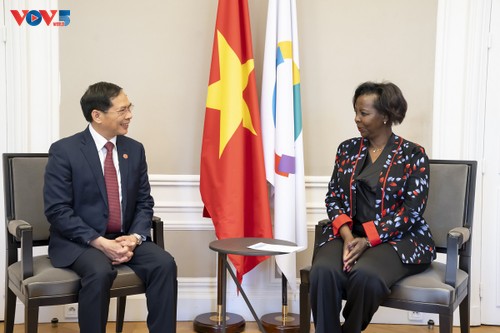 Visite du ministre Bùi Thanh Son à l’Organisation internationale de la Francophonie - ảnh 1