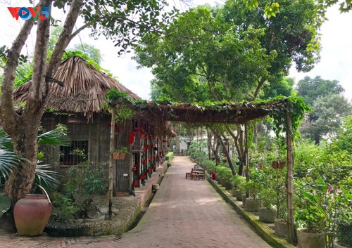 Experience country life at Moon Garden Homestay - ảnh 1