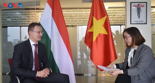 Der ungarische Außenminister lobt die gute freundschaftliche Kooperation zu Vietnam - ảnh 1