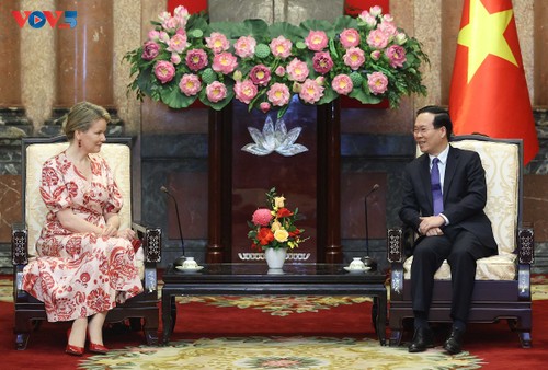 Presiden Vietnam, Vo Van Thuong: Mendorong Lebih Lanjut Hubungan Vietnam-Belgia   - ảnh 1