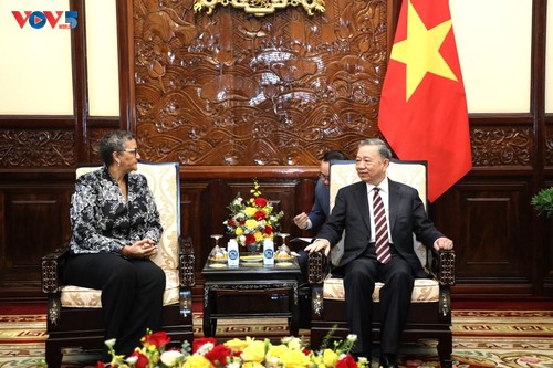 Presiden Vietnam, To Lam Terima Para Dubes yang Menyampaikan Surat Kenegaraan - ảnh 2