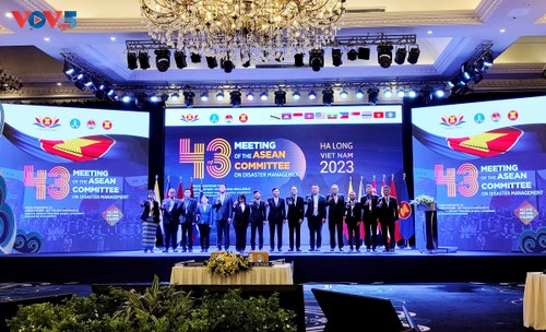 Pembukaan Konferensi Tahunan ke-43 Komite ASEAN Urusan Pengelolaan Bencana Alam - ảnh 1