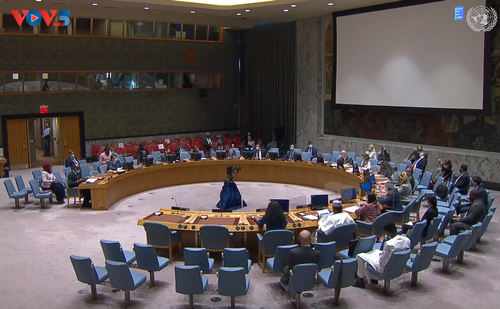 联合国安理会就戈兰高地形势和马里问题召开会议 - ảnh 1