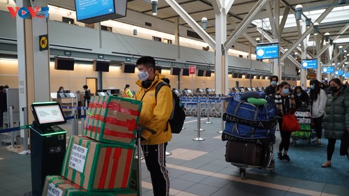 Vietnamese citizens return home from Canada, South Korea - ảnh 1