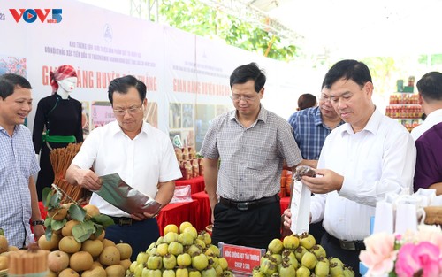 Bao Yen district Culture-Tourism Week 2023 opens in Lao Cai - ảnh 2