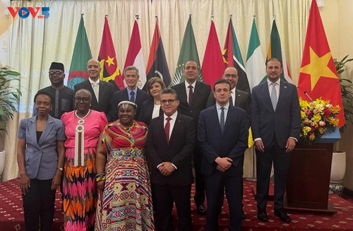 Vietnam wants to further promote cooperation with Africa  - ảnh 1