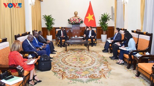 Dynamiser la coopération multiforme Vietnam – Angola - ảnh 2