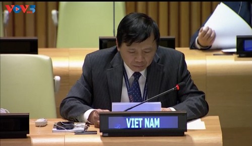 越南支持对伊斯兰国罪行进行调查并追究责任 - ảnh 1