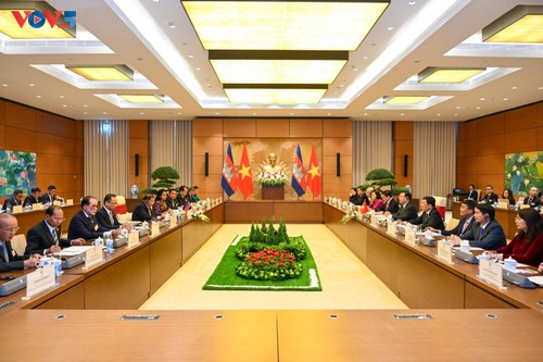越南国会主席王廷惠与柬埔寨参议院主席赛宗举行会谈 - ảnh 1