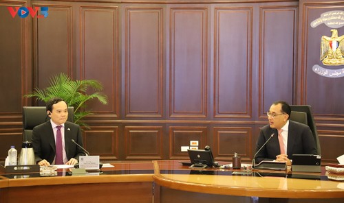 越南政府副总理陈刘光与埃及总理马德布利举行会谈 - ảnh 1