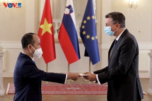 Вьетнам и Словения активизируют  экономическое сотрудничество и содействие в противодействии COVID-19 - ảnh 1