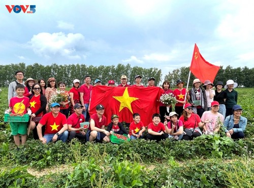 Посольство Вьетнама в РФ приняло участие в Cубботнике - ảnh 1