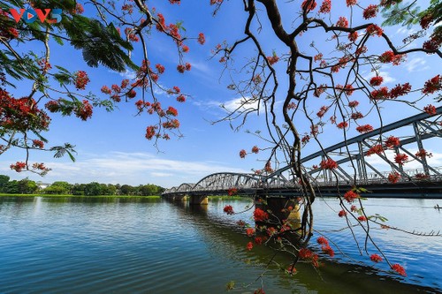 Thừa Thiên Huế vào danh sách điểm đến châu Á nên ghé thăm năm 2024 - ảnh 2