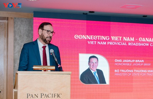 Tăng cường thúc đẩy xuất nhập khẩu, đầu tư giữa Việt Nam và Canada - ảnh 6