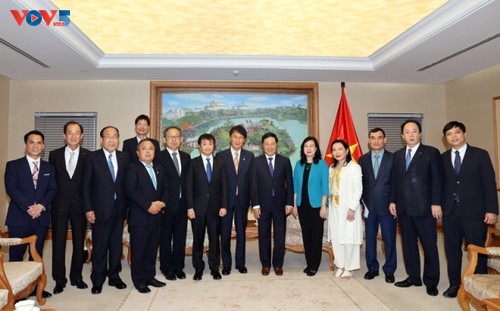 Phó Thủ tướng Phạm Bình Minh tiếp Chủ tịch Tập đoàn Dịch vụ y tế khẩn cấp Nhật Bản - ảnh 2
