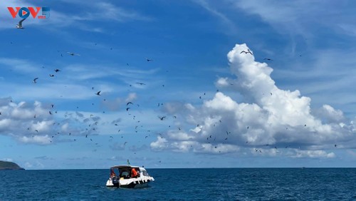Hòn Trứng - sân chim giữa biển tại Việt Nam - ảnh 2
