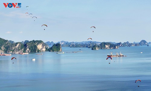 Contemplar belleza de la bahía de Ha Long en parapentes - ảnh 1