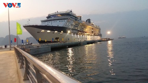 Tàu biển siêu sang Celebrity Millenium đem theo hơn 2.000 du khách đến Quảng Ninh - ảnh 9