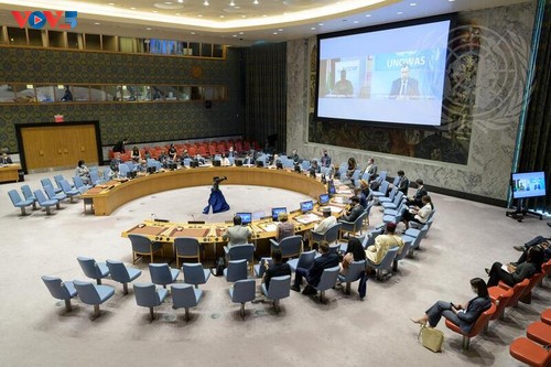 Vietnam urges settlement of security, humanitarian issues in West Africa, Sahel - ảnh 1