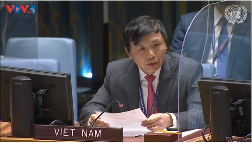 Вьетнам поддерживает усилия на обеспечение мира и развития в Сомали - ảnh 1
