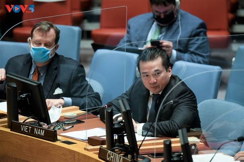Вьетнам подчеркнул важность миссии ООН в поддержании безопасности на спорной территории Абьей - ảnh 1