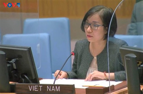 Việt Nam hoan nghênh việc bổ nhiệm các đặc phái viên của LHQ về Tây Sahara - ảnh 1