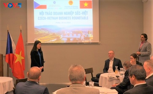 Diễn đàn doanh nghiệp Séc-Việt tìm kiếm giải pháp phục hồi kinh tế sau dịch Covid-19 - ảnh 2