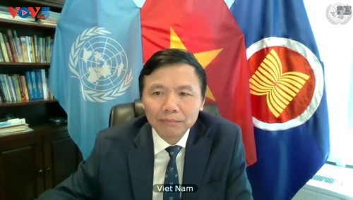 Việt Nam kêu gọi giải quyết nguyên nhân gốc rễ tình trạng bạo lực tại Darfur, Sudan - ảnh 1