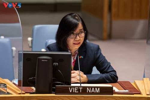 Việt Nam thúc giục các bên liên quan đối thoại, giải quyết vụ tàu chở dầu Safer ngoài khơi Yemen - ảnh 1