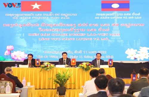 Thúc đẩy hơn nữa thương mại, hợp tác và đầu tư giữa Việt Nam và Lào - ảnh 2