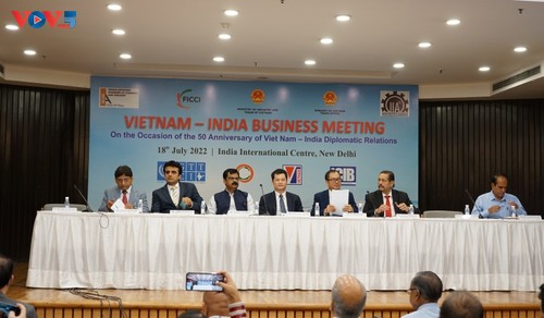 Doanh nghiệp Việt Nam- Ấn Độ gặp gỡ, tìm cơ hội kinh doanh, đầu tư - ảnh 1