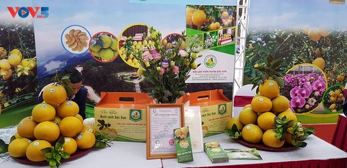 Hanoi steht an erster Stelle beim Aufbau der Lieferkette der Agrarprodukte - ảnh 1