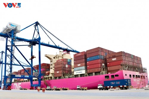 Internationaler Containerhafen Tan Cang Hai Phong begrüßt neue Serviceroute zur US-Westküste  - ảnh 1