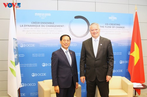 OECD schätzt die Rolle Vietnams als Ko-Vorsitzender des Regionalprogramms für Südostasien  - ảnh 1