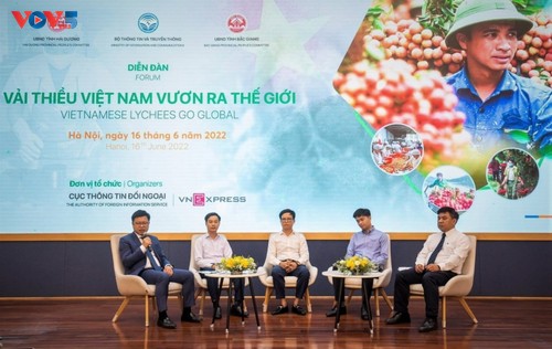 Werbung für vietnamesische Litschi auf dem Weltmarkt - ảnh 1