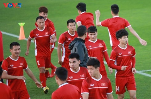 L’équipe vietnamienne invincible durant 18 matchs: FIFA valide le record - ảnh 1