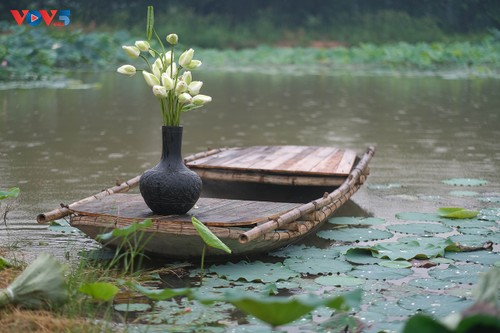 Sớm mai dịu dàng ở hồ sen ngoại thành Hà Nội - ảnh 9