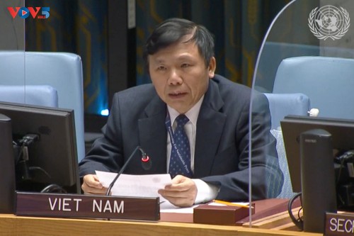 เวียดนามเรียกร้องให้ผลักดันการฟื้นฟูการเจรจาเกี่ยวกับสันติภาพในตะวันออกกลาง - ảnh 1