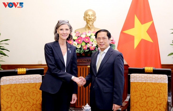 El PNUD comprometido a respaldar a Vietnam en la recuperación económica  - ảnh 1
