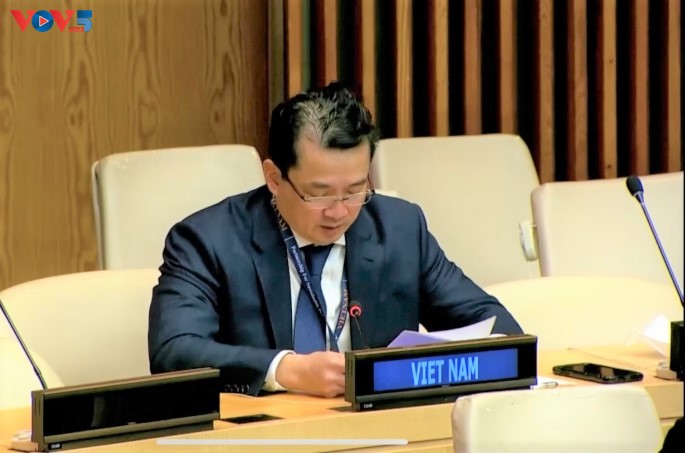 越南呼吁国际社会增加对刚果(金)的人道主义援助 - ảnh 1