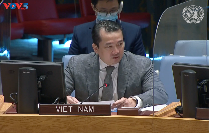 Vietnam calls for more dialogues to solve challenges in Central Africa - ảnh 1