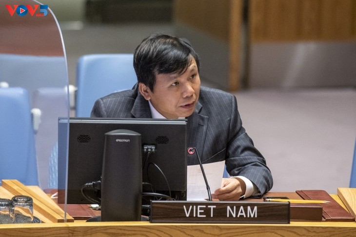 Security Council renews mandate of UN peacekeeping mission in DRC - ảnh 1