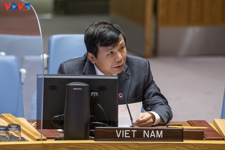 Vietnam mengimbau cara pendekatan yang menyeluruh dalam menjawab tantangan di Mali - ảnh 1