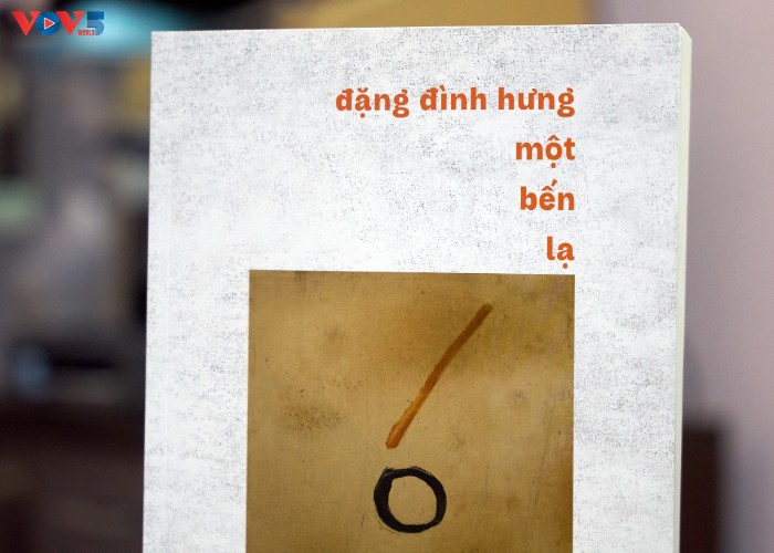 Dang Dinh Hung, un artiste aux mille talents - ảnh 4