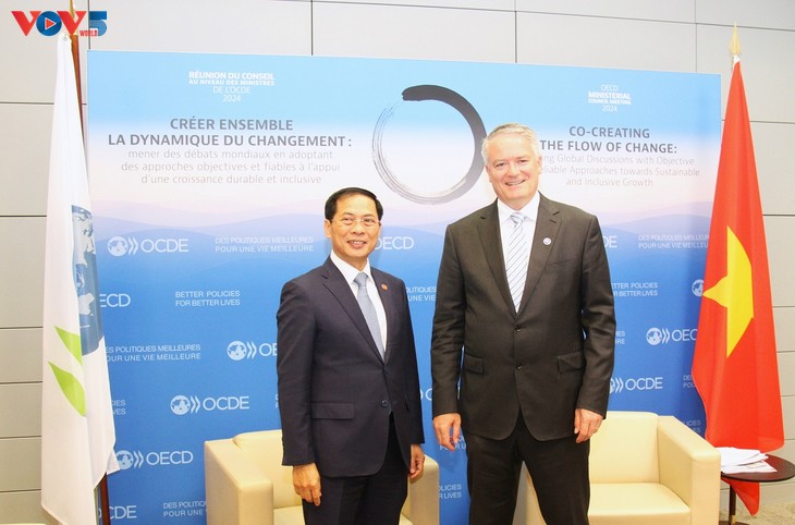 Vietnam steps up cooperation with OECD  - ảnh 1