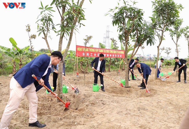 FDI enterprises in Hai Phong boost production after Tet holiday - ảnh 1