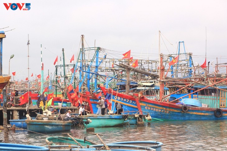 Quang Binh fishermen begin New Year’s voyage - ảnh 2